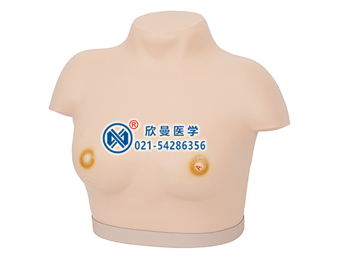 高级乳腺视诊与触诊模型乳腺检查模型
