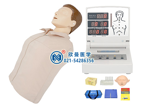 高级半身心肺复苏模型人XM/CPR230
