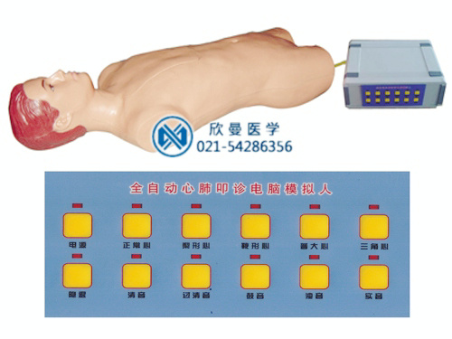 XM-KJ全自动心肺叩诊电脑模拟人
