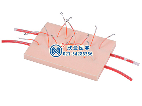 XM-BCX表面血管结扎止血操作模型
