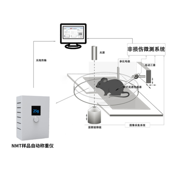 NMT样品自动称重仪
