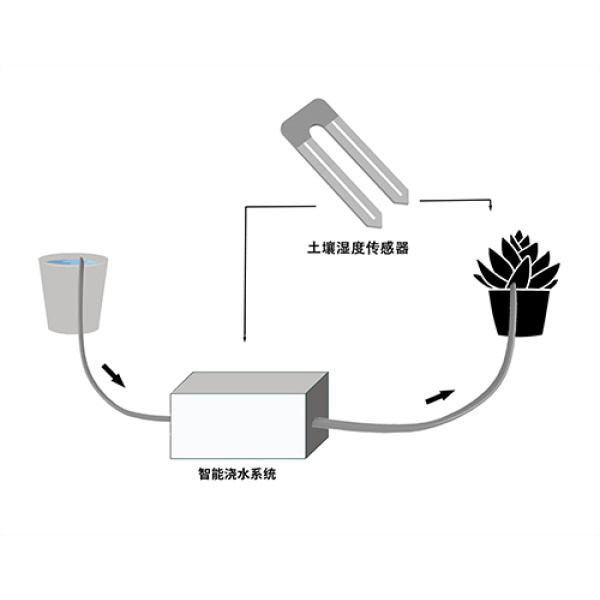 智能浇水系统
