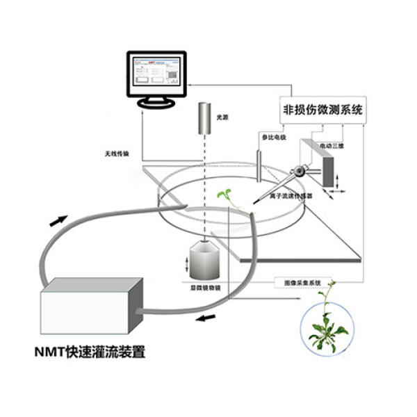 NMT自动灌流系统
