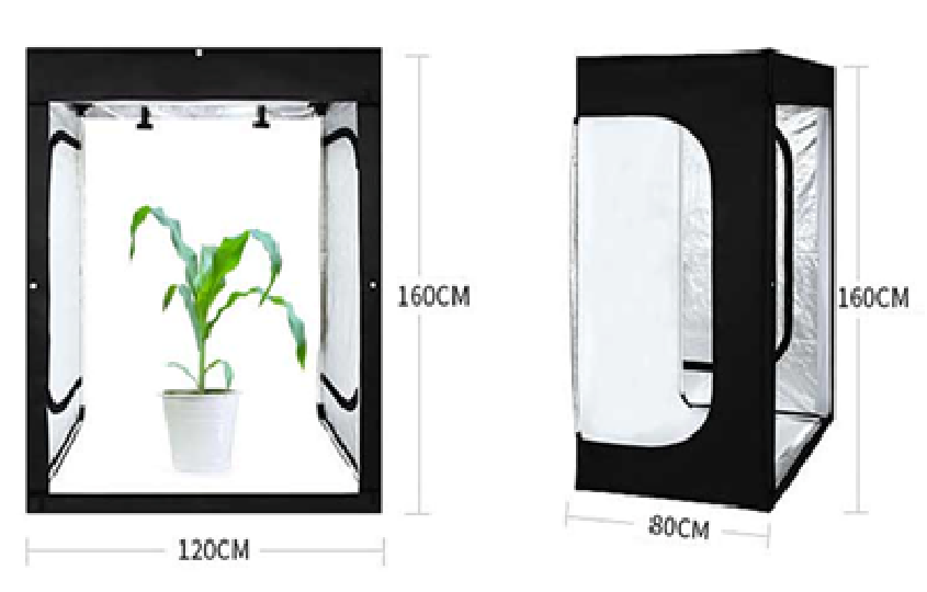 万深PhenoGA植物表型分析测量仪