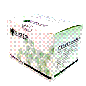 甲型和乙型流感病毒核酸双重检测试剂盒（PCR-荧光法）