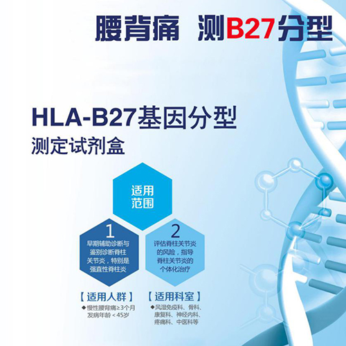 HLA-B27基因分型测定试剂盒