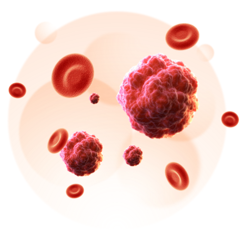 脐带血造血干细胞