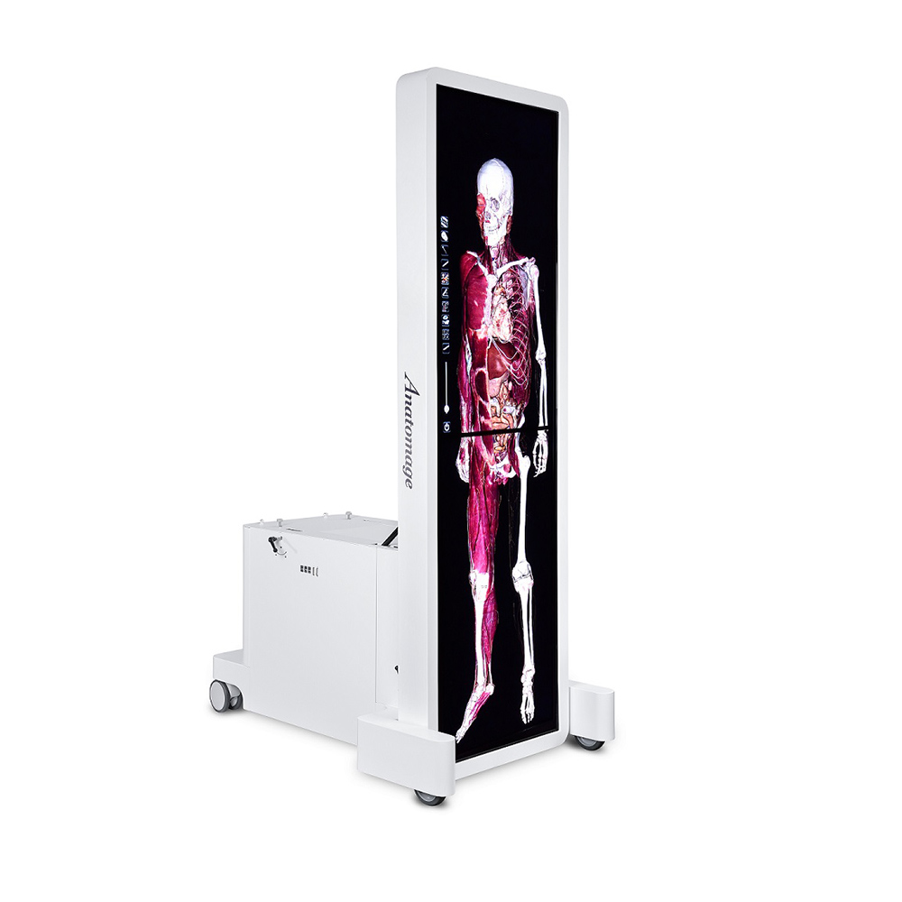 Anatomage多点触控虚拟解剖系统