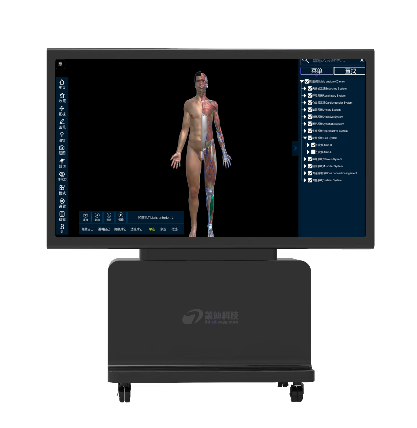 3D数字化人体解剖教学系统